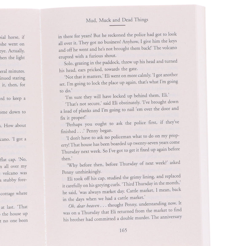 British Spy & Mystery Crime Series Bundle by Ann Granger & Charles Cumming: 10 Book Set – Fiction – Paperback Fiction Various