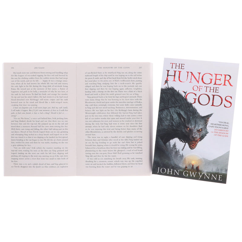 Bloodsworn Series by John Gwynne 2 Books Collection Set - Fiction - Paperback Fiction Hachette