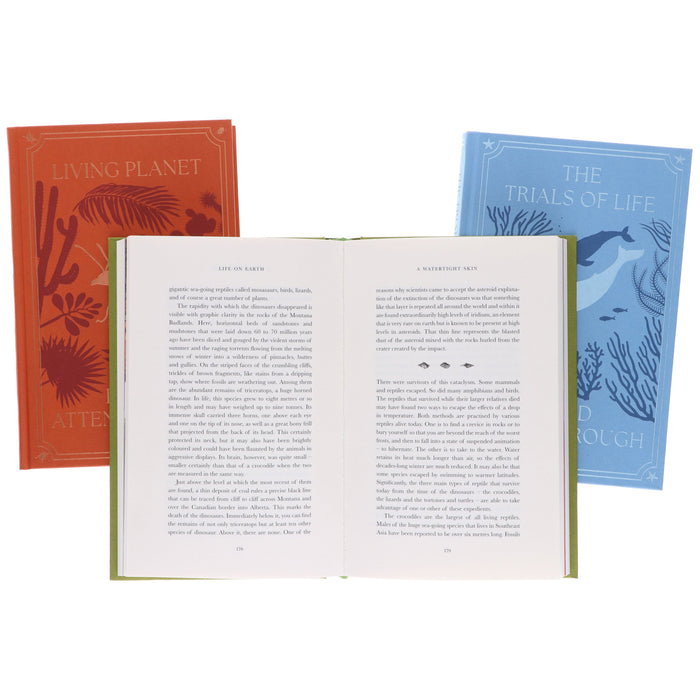 The Life Trilogy Boxset: The Greatest Story Ever Told by David Attenborough (Centenary Edition) - Non Fiction - Hardback Non-Fiction HarperCollins Publishers