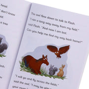 Reading Champions Developing Readers 30 Books Collection Level 6 to 10 (Series 2) - Ages 5-7 - Paperback 5-7 Hachette