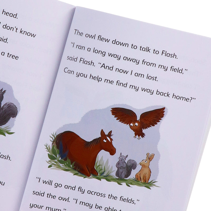 Reading Champions Developing Readers 30 Books Collection Level 6 to 10 (Series 2) - Ages 5-7 - Paperback 5-7 Hachette