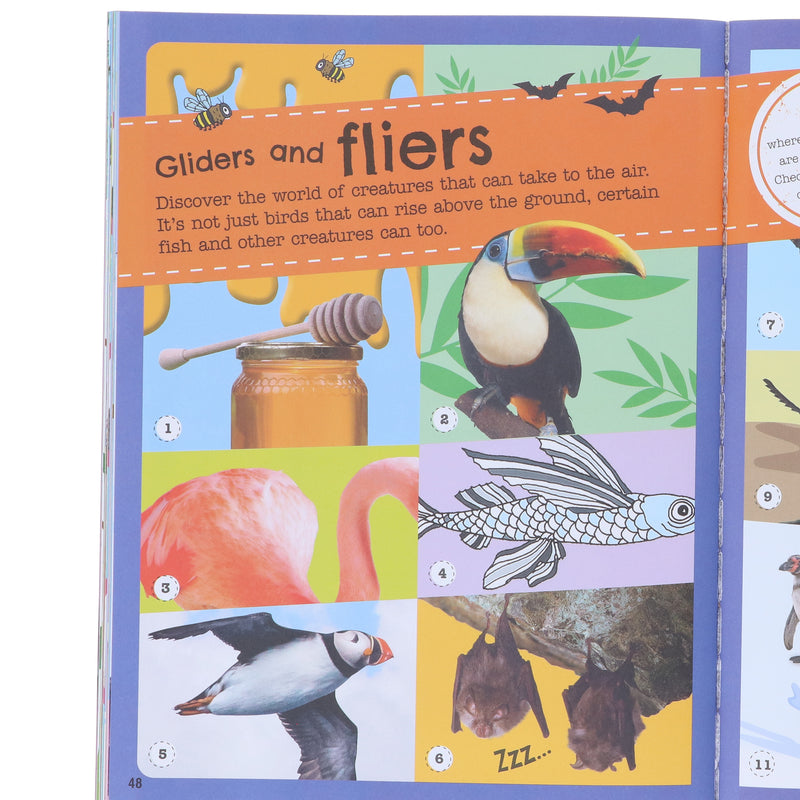DK: The Fact-Packed Activity Book Collection 4 Books Set - Ages 5+ - Paperback
