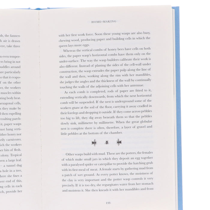 The Life Trilogy Boxset: The Greatest Story Ever Told by David Attenborough (Centenary Edition) - Non Fiction - Hardback Non-Fiction HarperCollins Publishers