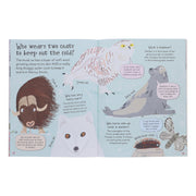 Curious Questions & Answers About 8 Books Collection Set - Ages 5+ - Paperback 5-7 Miles Kelly Publishing Ltd