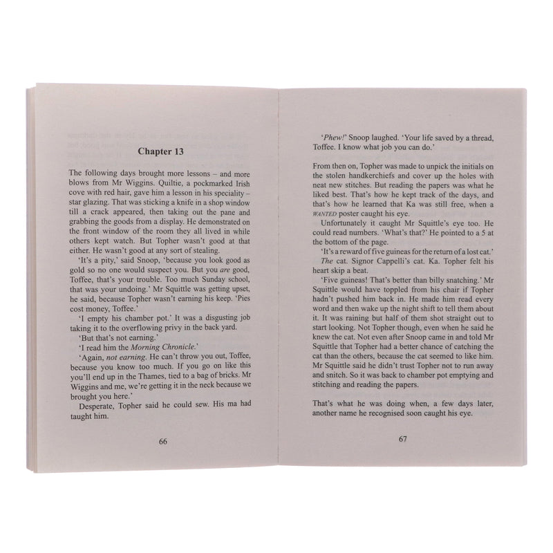 Time-Travelling Cat Series by Julia Jarman 5 Books Collection Set - Ages 8- 11 - Paperback 9-14 Andersen Press Ltd