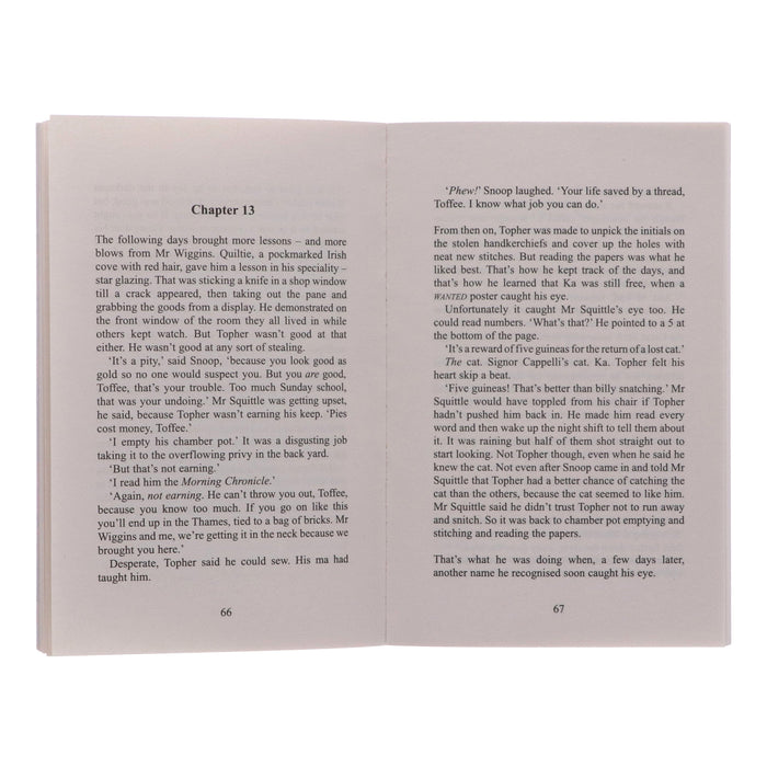 Time-Travelling Cat Series by Julia Jarman 5 Books Collection Set - Ages 8- 11 - Paperback 9-14 Andersen Press Ltd