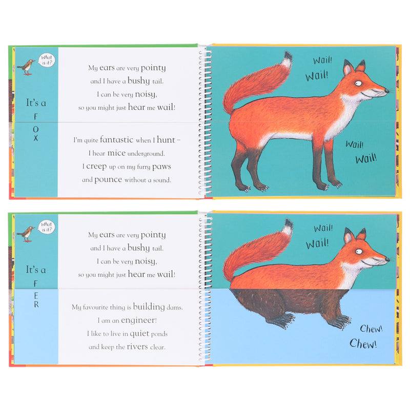 Axel Scheffler's Flip Flap Series (Set 2) 5 Books Collection Set - Ages 2+ - Hardback 0-5 Nosy Crow Ltd