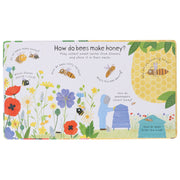 Why Do We Need Bees? (Usborne: Lift-the-Flap First Questions and Answers) by Katie Daynes - Ages 4+ - Board Book 3-5 Usborne Publishing Ltd