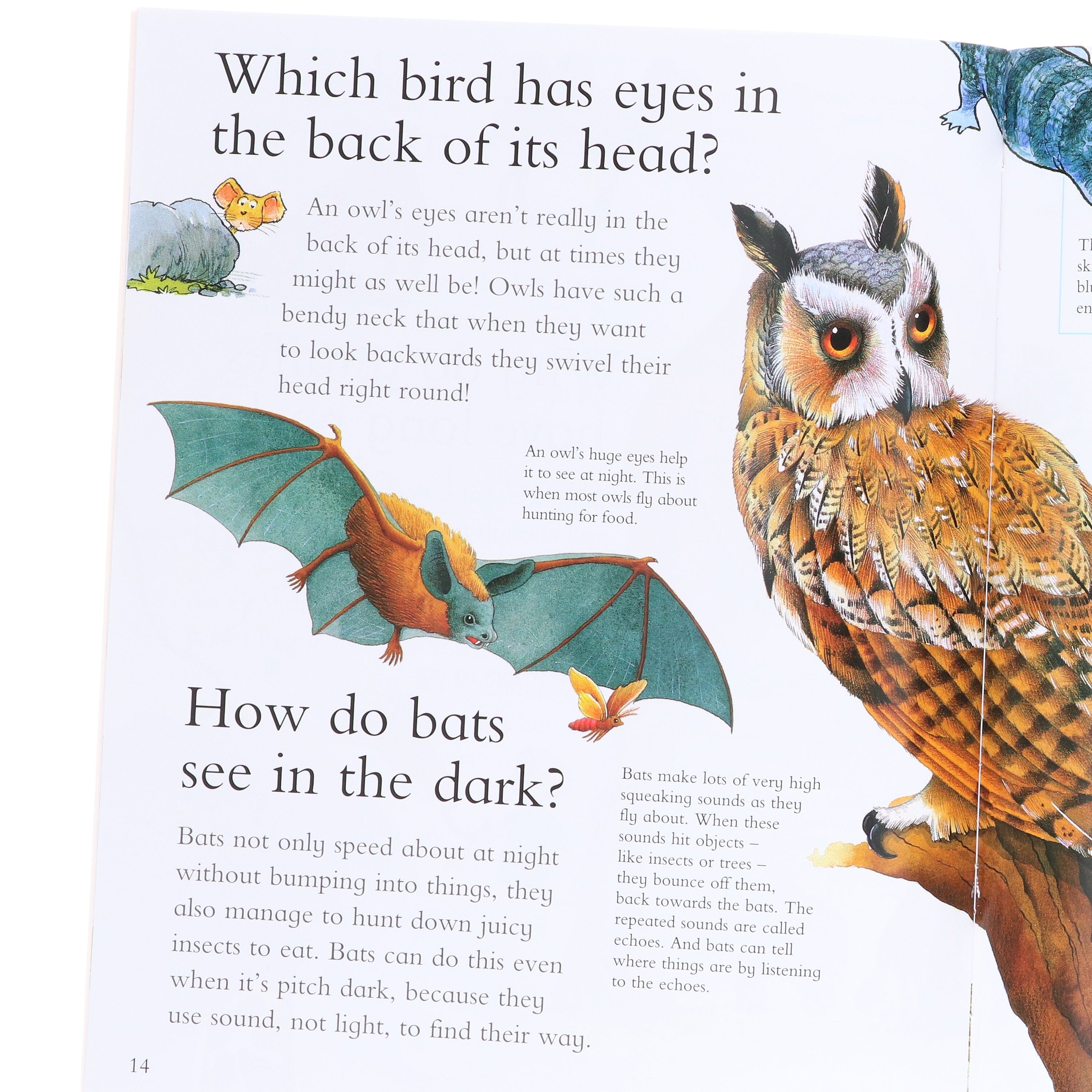 I Wonder Why: Ultimate Collection 20 Books Box Set - Ages 7+