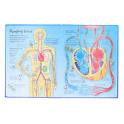 An Usborne Flap Book: See Inside Your Body: With Over 50 Flaps to Lift by Katie Daynes & Colin King - Ages 6+ - Board Book 5-7 Usborne Publishing Ltd