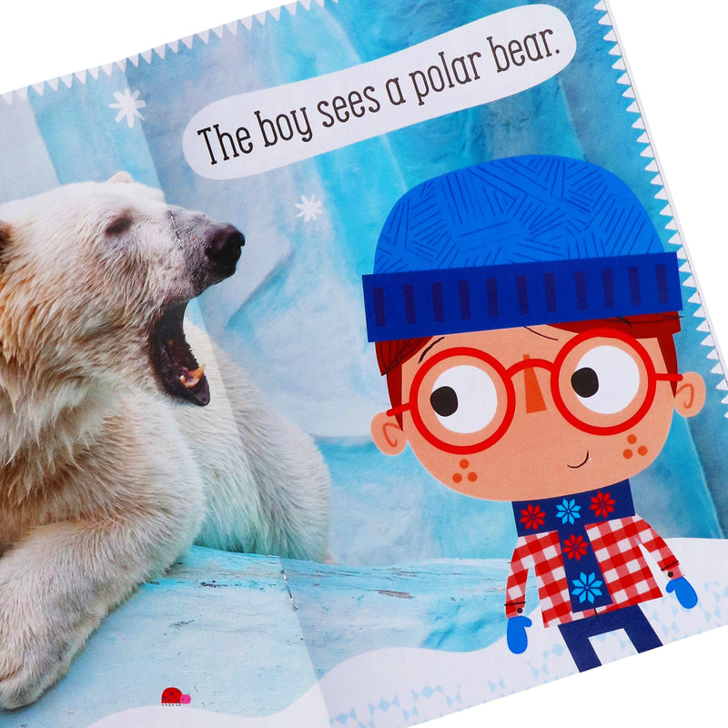 Amazing Animals By Make Believe Ideas 10 Readers Box Set - Ages 4+ - Paperback 5-7 Make Believe Ideas