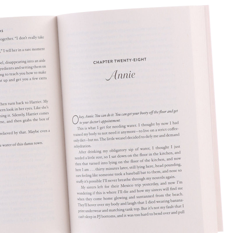 Sarah Adams Collection (The Cheat Sheet, When in Rome, Practice Makes Perfect & Beg, Borrow, or Steal) 4 Books Set - Fiction - Paperback Fiction Hachette