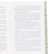 The Deluxe Hunger Games by Suzanne Collins 4 Books Collection Box Set Includes Hunger Games, Catching Fire, Mockingjay & Ballad of Songbirds and Snakes - Ages 13+ - Paperback Fiction Scholastic