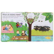 Where Do Babies Come from? (Usborne: Lift-The-Flap First Questions & Answers) - Ages 3-5 - Board Book 3-5 Usborne Publishing Ltd