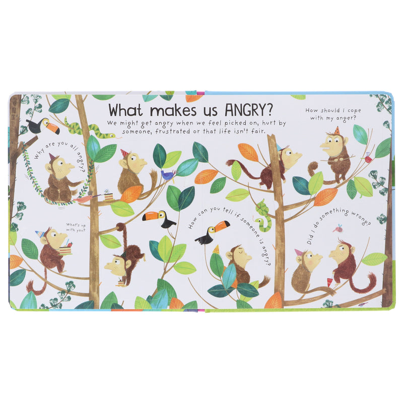 What are Feelings? (Usborne: Lift-the-Flap First Questions & Answers) - Ages 4+ - Board Book 3-5 Usborne Publishing Ltd