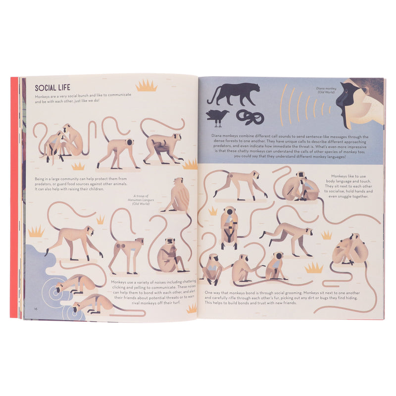 Mad About Monkeys by Owen Davey (About Animals Series) - Ages 7+ - Paperback 7-9 Flying Eye Books