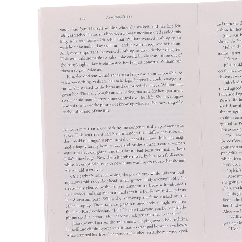 Dear Edward & Hello Beautiful by Ann Napolitano 2 Books Collection Set - Fiction - Paperback Fiction Penguin Random House