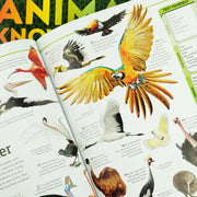 A Quiz Encyclopedia to Boost Your Brain General Knowledge Series by DK: 3 Books Collection Set - Ages 9-12 - Paperback 9-14 DK