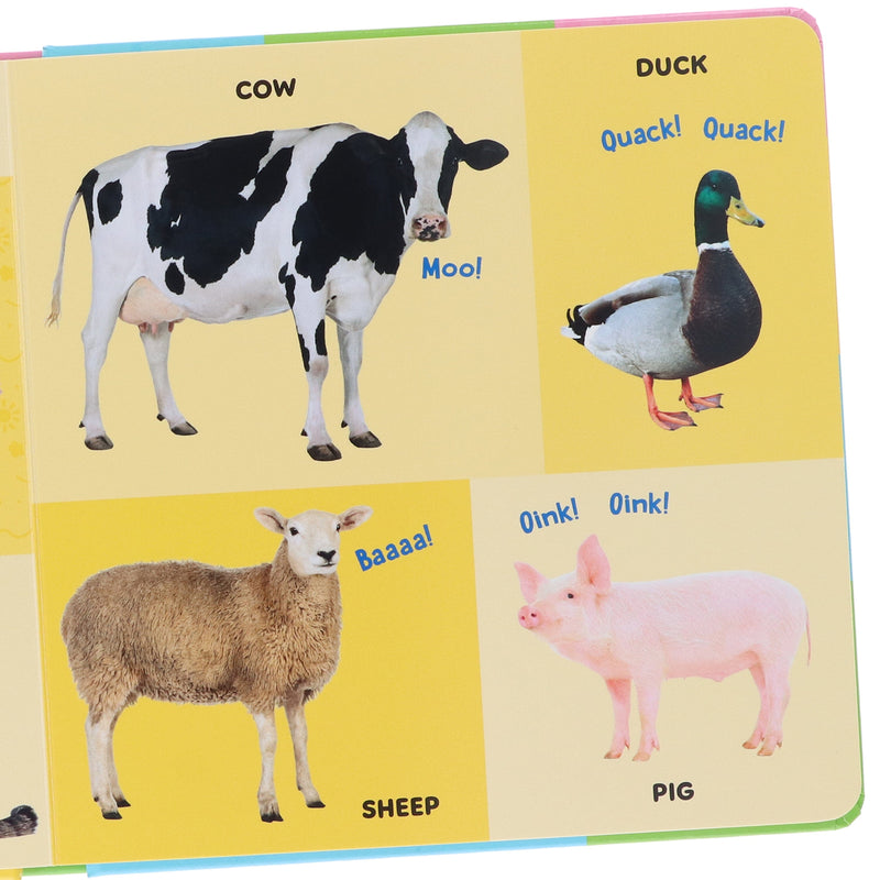 Ms Rachel's Collection Illustrated 3 Books: Early Learning & Speech Development Set - Ages 1-5 - Paperback 0-5 Ladybird