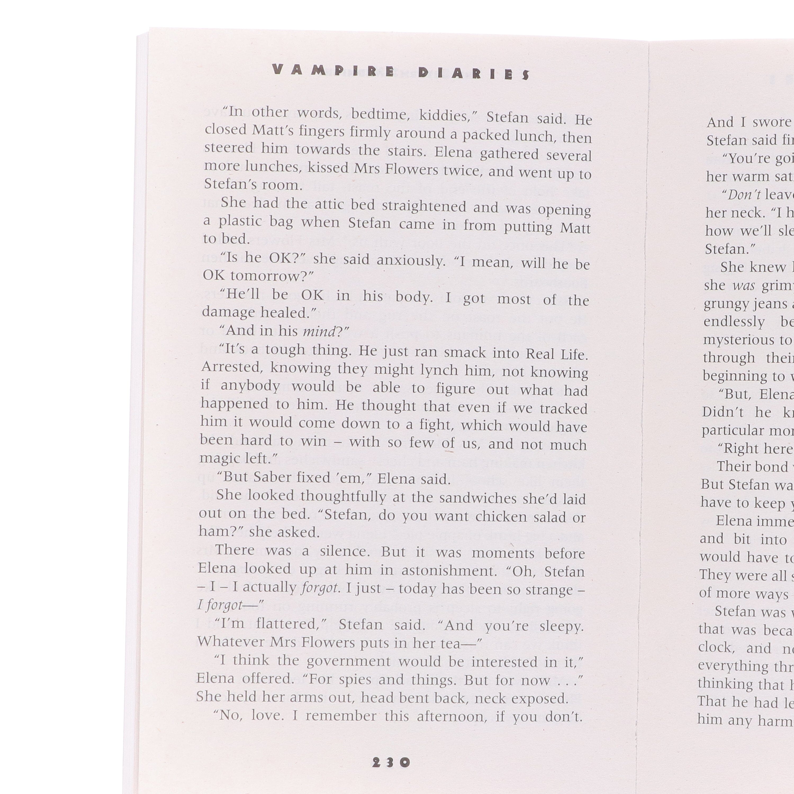 Vampire Diaries The Return Series-2 By L J Smith Book To