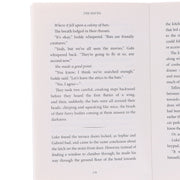 The Summer Suspense Mysteries Series by LJ Ross 4 Books Collection Set - Fiction - Paperback Fiction Dark Skies Publishing