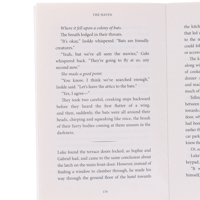 The Summer Suspense Mysteries Series by LJ Ross 4 Books Collection Set - Fiction - Paperback Fiction Dark Skies Publishing