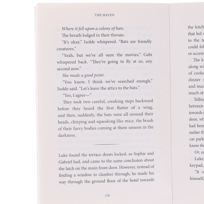 The Summer Suspense Mysteries Series by LJ Ross 4 Books Collection Set - Fiction - Paperback Fiction Dark Skies Publishing
