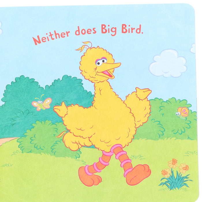 Indestructibles: Sesame Street: by Amy Pixton 5 Picture Books Collection Set - Ages 2-5 Years - Paperback 0-5 Hachette