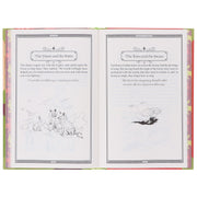 Aesop's Fables by Aesop - Fiction - Sprayed Edges Hardback Fiction Wilco Books
