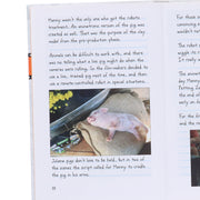 Diary of a Wimpy Kid by Jeff Kinney: Movie Diary Collection 2 Books Set - Ages 7-12 - Hardback 7-9 Penguin Random House