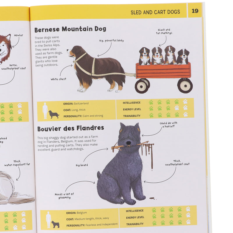 DOGS: Heroic Companion Dogs Series by Annabel Griffin Illustrated 4 Books Collection Set - Ages 6+ - Paperback 5-7 Hungry Tomato Ltd