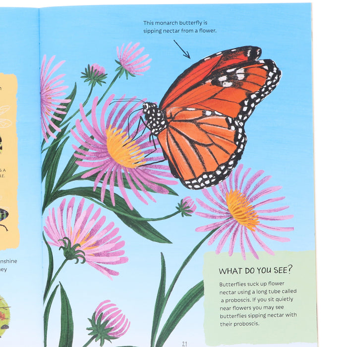 Adventures in Nature Series by Jen Green Illustrated 3 Picture Books Collection Set - Ages 7+ - Paperback 7-9 Hachette