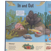 Colours of the World 3 Books Set (Blue Planet, Red Planet & Green Planet) By Moira Butterfiels, Jonathan Woodward - Ages 0-5 - Hardback B2D DEALS Little Tiger Press Group