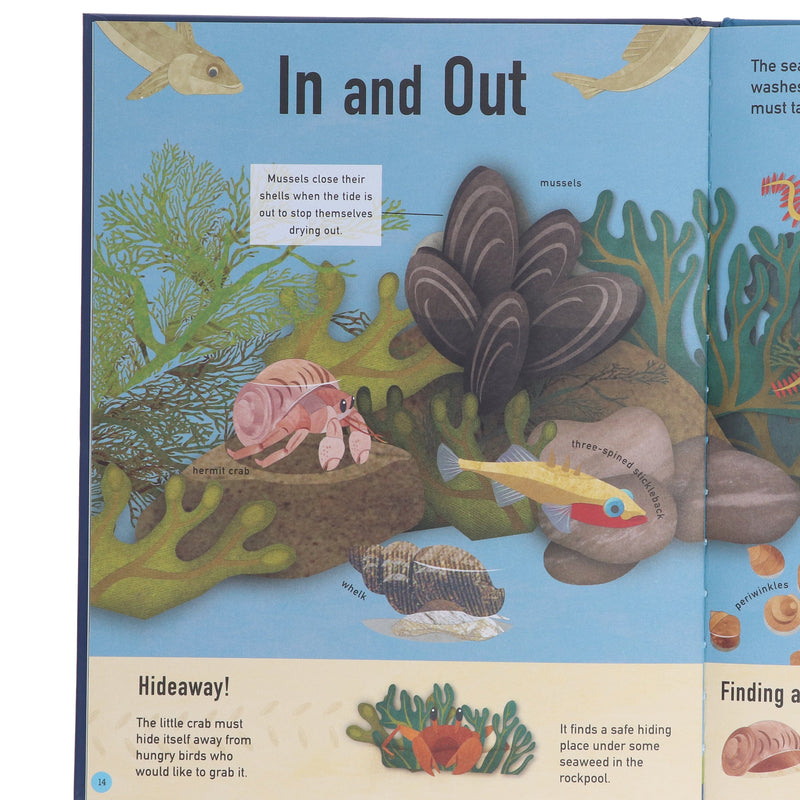 Colours of the World 3 Books Set (Blue Planet, Red Planet & Green Planet) By Moira Butterfiels, Jonathan Woodward - Ages 0-5 - Hardback B2D DEALS Little Tiger Press Group