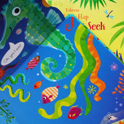 Usborne Lift-The-Flap Play Hide & Seek Series By Sam Taplin 2 Books Collection - Ages 0-5 - Board Book 0-5 Usborne Publishing Ltd