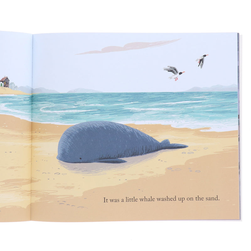 Storm Whale Series By Benji Davies 4 Books Collection Set - Ages 2-5 - Paperback 0-5 Simon & Schuster Children's UK