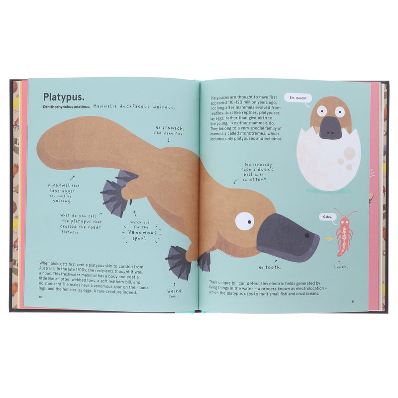 The World’s Most Pointless Animals by Philip Bunting 3 Books Collection Set - Ages 5-7 - Hardback 5-7 Quarto Publishing Ltd