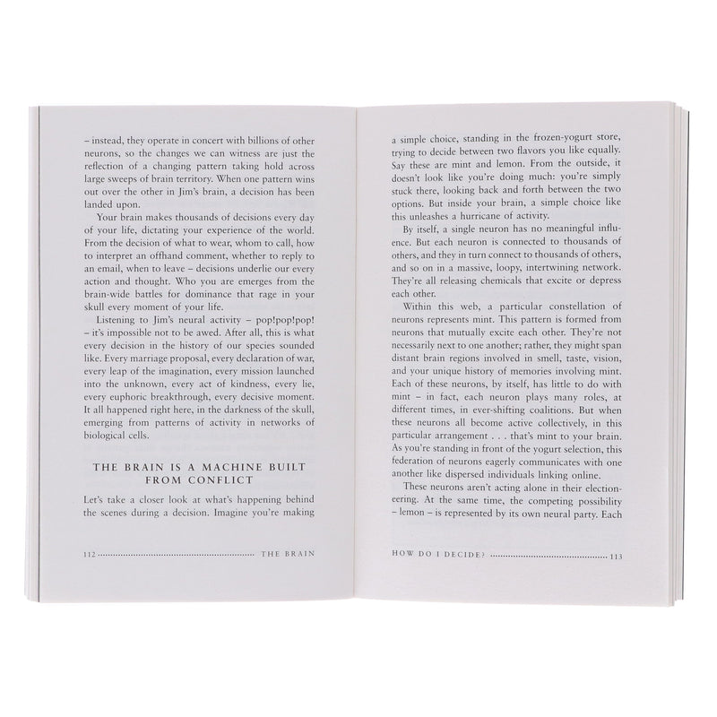 The Brain: The Story of You by David Eagleman - Non Fiction - Paperback Non-Fiction Canongate Books