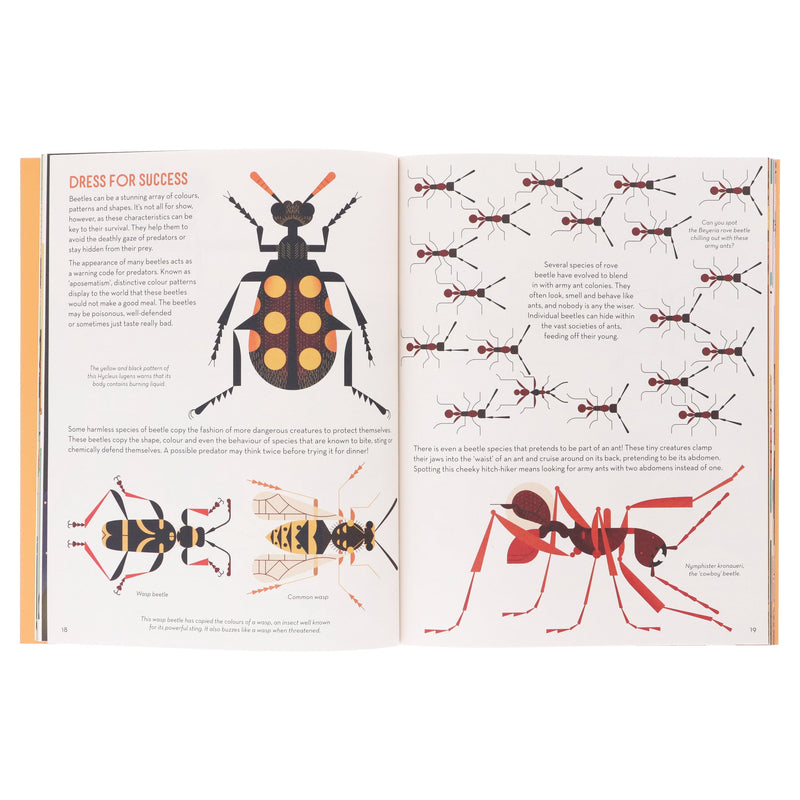 Bonkers About Beetles by Owen Davey (About Animals Series) - Ages 7+ - Paperback 7-9 Flying Eye Books