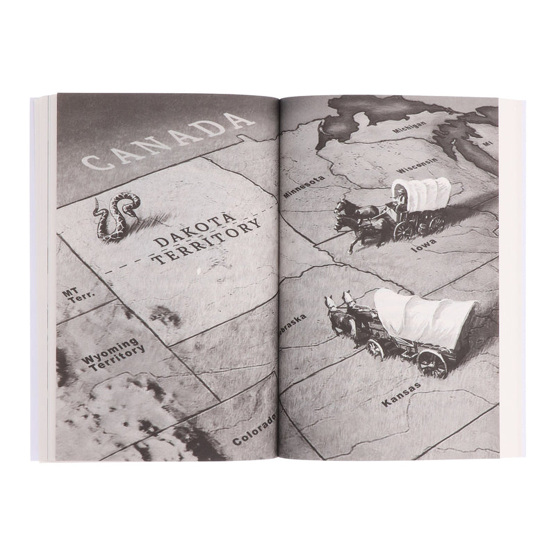 I Survived Series By Lauren Tarshis 22 Books Collection Set - Ages 7-12 - Paperback 9-14 Scholastic