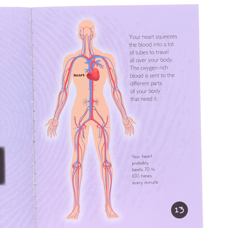 Introduction to Science for Beginners Series (1&2) by Jasmine Brooke 20 Books Collection Box Set - Ages 7+ - Paperback 7-9 Fox Eye Publishing