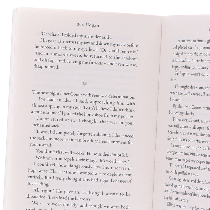 Faery Realms Series by Bex Hogan 2 Books Collection Set - Ages 12+ - Paperback/Hardback 9-14 Bloomsbury Publishing