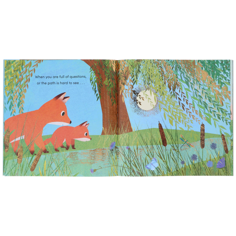 When I Became Series By Susannah Shane Illustrated 8 Picture Books Collection Set - Ages 2-5 - Paperback 0-5 Nosy Crow Ltd