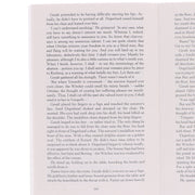 The Witcher Complete Series By Andrzej Sapkowski 8 Books Box Set Collection - Fiction - Paperback B2D DEALS Hachette