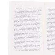 Dragon Age Series by David Gaider: 5 Books Collection Set - Fiction - Paperback Fiction Titan Books Ltd