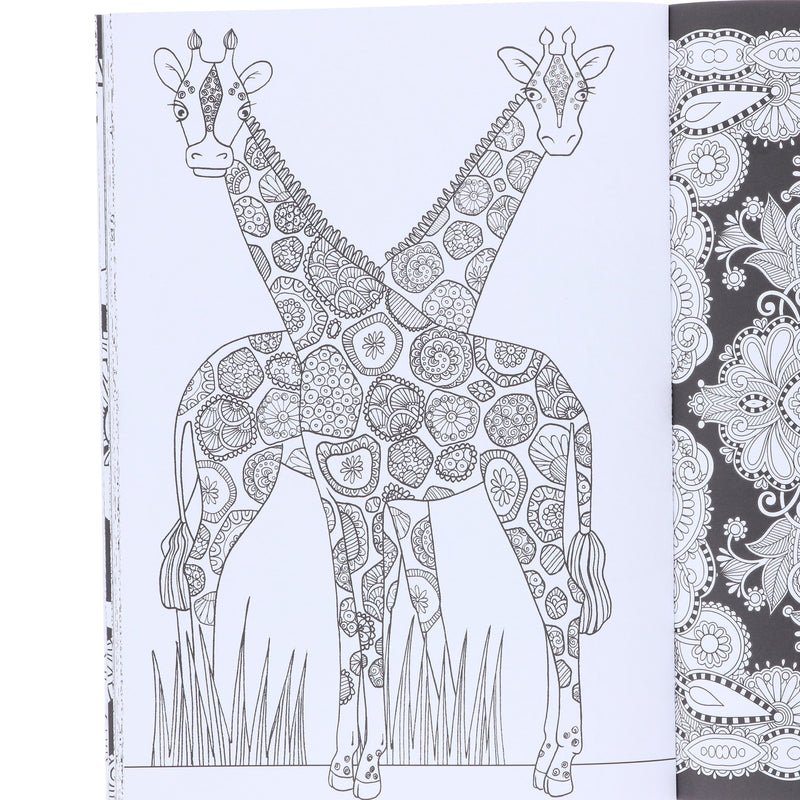 Art Therapy Colouring Series 4 Books Collection Set - Non Fiction - Paperback Non-Fiction Michael O'Mara Books Ltd