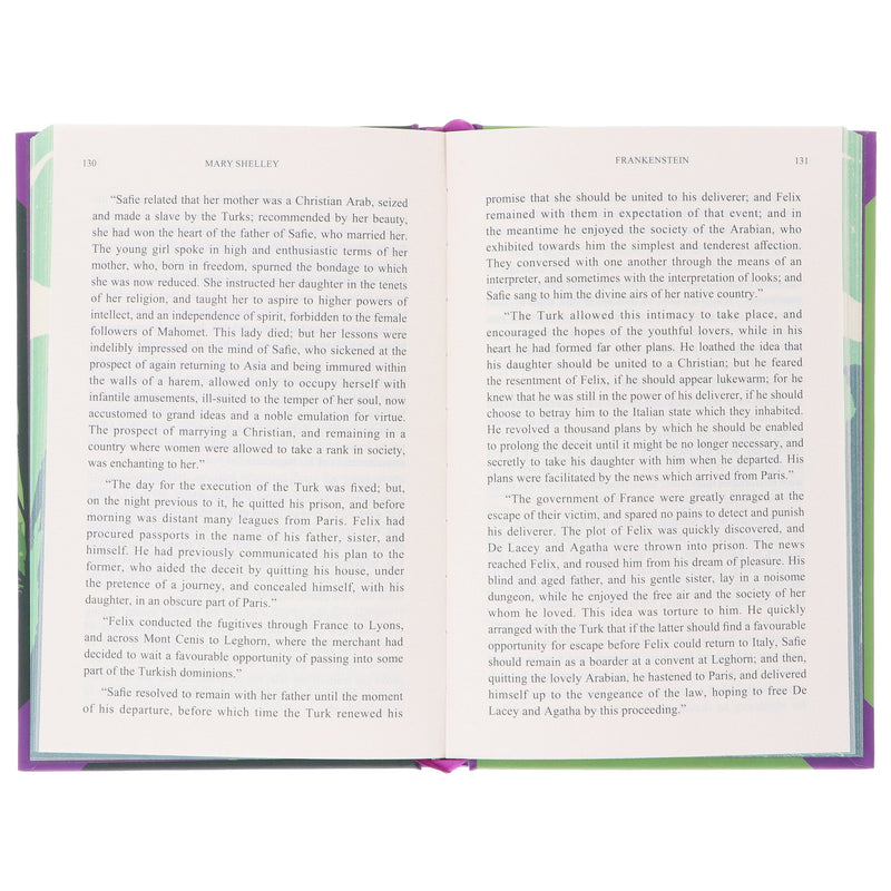 Frankenstein by Mary Shelley - Fiction - Sprayed Edges Hardback Fiction Wilco Books