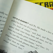 Minecraft Stonesword Saga Series by Nick Eliopulos 4 Books Collection Set - Ages 7-10 - Paperback 7-9 Farshore