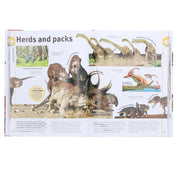 Our World in Pictures: The Dinosaurs Book by DK - Ages 9-12 - Hardback Non-Fiction DK
