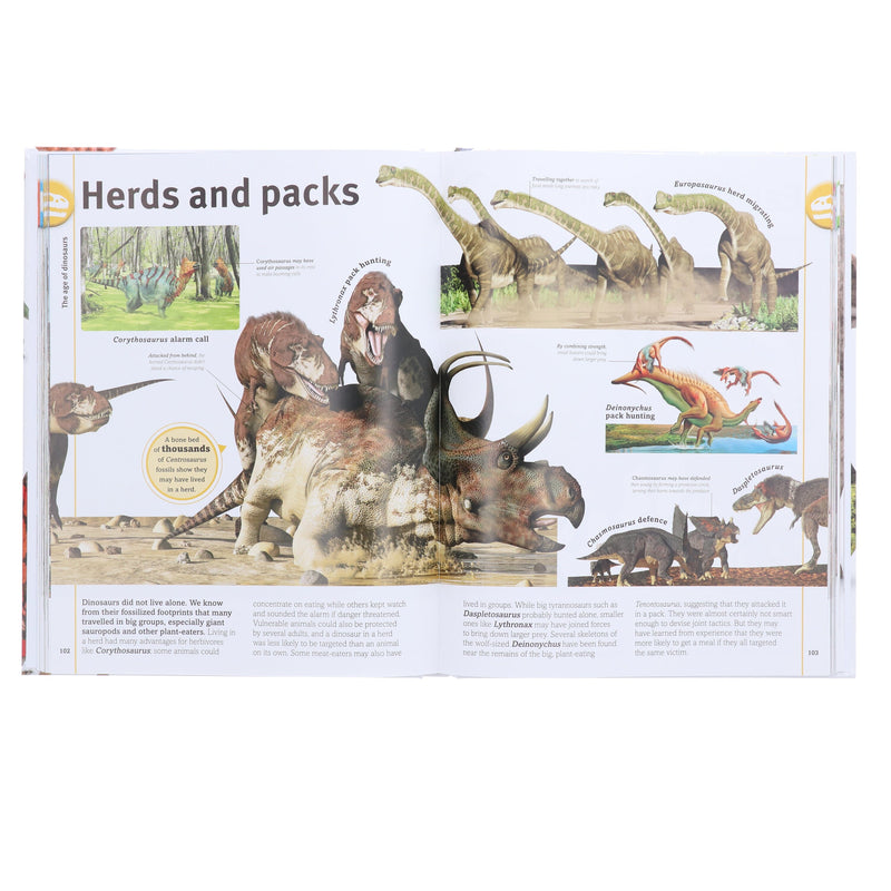 Our World in Pictures: The Dinosaurs Book by DK - Ages 9-12 - Hardback Non-Fiction DK